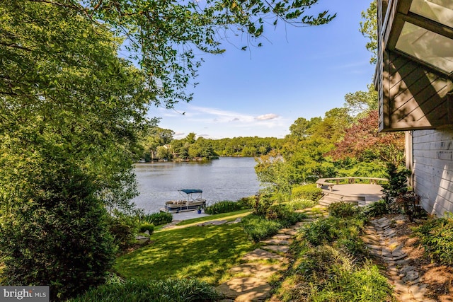 2200 Spinnaker Ct, Reston, VA 20191 - view of green lawn featuring a water view and a forest view