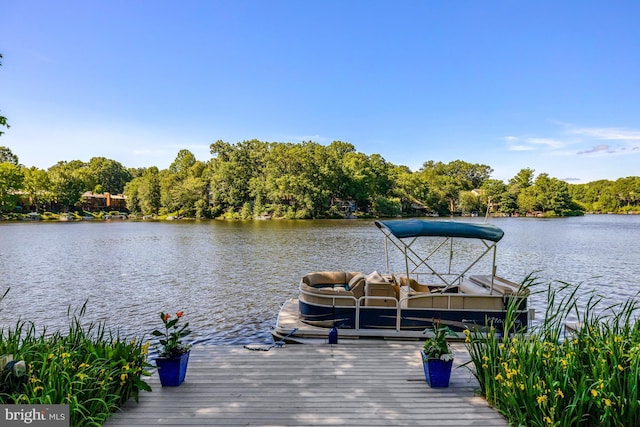 2200 Spinnaker Ct, Reston, VA 20191 - dock featuring a water view