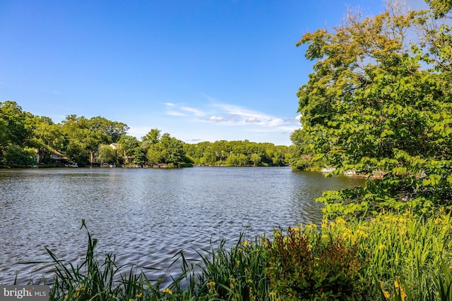2200 Spinnaker Ct, Reston, VA 20191 - water view featuring a forest