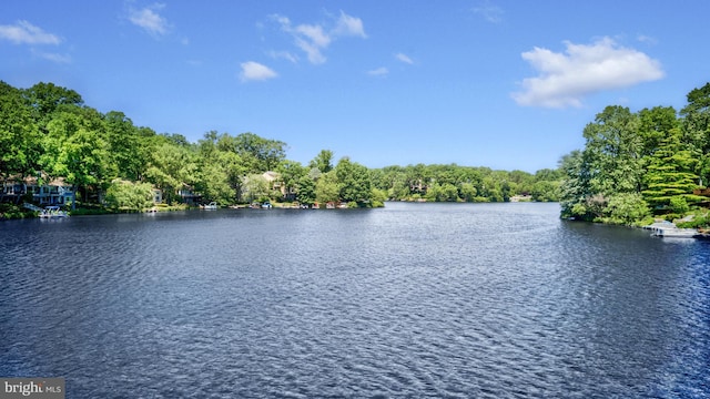 2200 Spinnaker Ct, Reston, VA 20191 - water view