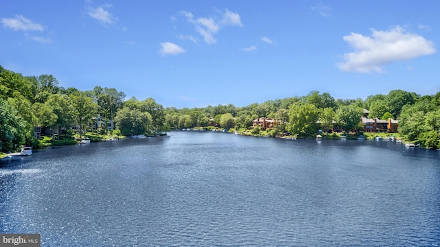 2200 Spinnaker Ct, Reston, VA 20191 - water view