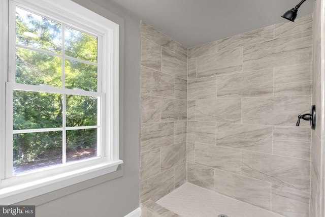 21 Mattingly Ave, Indian Head, MD 20640 - full bathroom featuring tiled shower and plenty of natural light