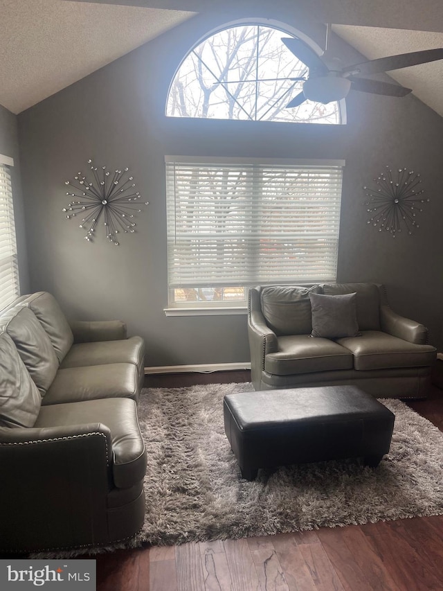 living room featuring lofted ceiling, a ceiling fan, a textured ceiling, and wood finished floors