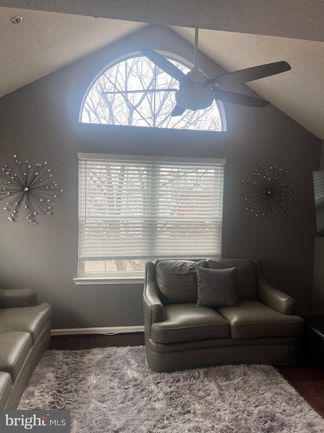 living room featuring lofted ceiling, a textured ceiling, and carpet floors