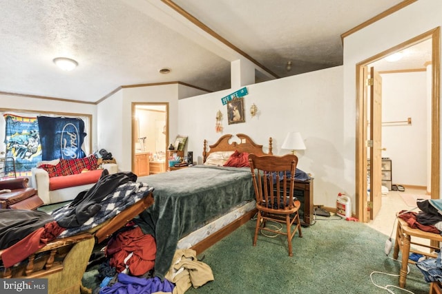 191 Youngs Dr, Front Royal, VA 22630 - bedroom with ornamental molding, carpet flooring, connected bathroom, and a textured ceiling