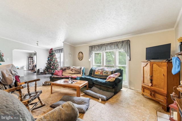 191 Youngs Dr, Front Royal, VA 22630 - living room with a textured ceiling and ornamental molding