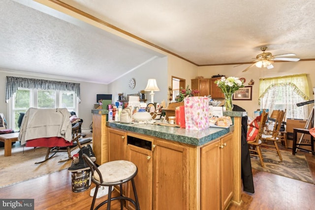 191 Youngs Dr, Front Royal, VA 22630 - kitchen featuring a textured ceiling, wood finished floors, ceiling fan, brown cabinetry, and dark countertops