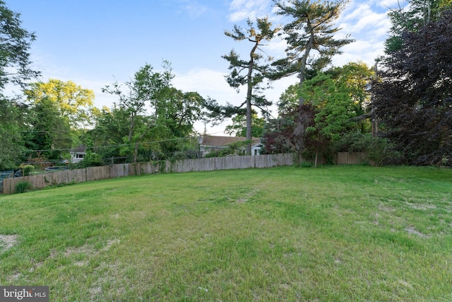 616 Webb Rd, Elkins Park, PA 19027 - view of yard