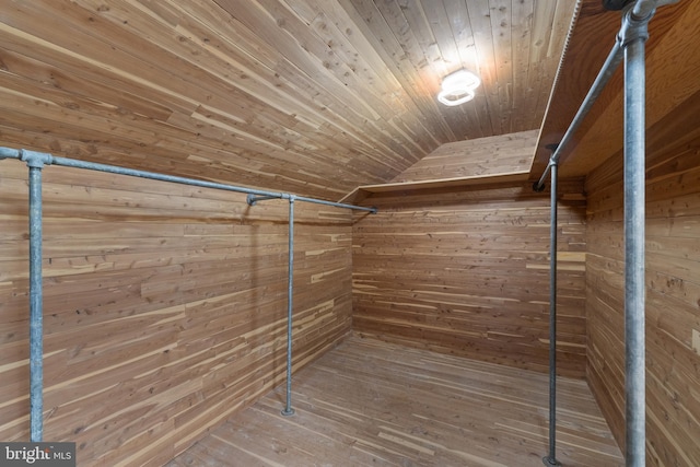 616 Webb Rd, Elkins Park, PA 19027 - spacious closet featuring lofted ceiling and hardwood / wood-style flooring