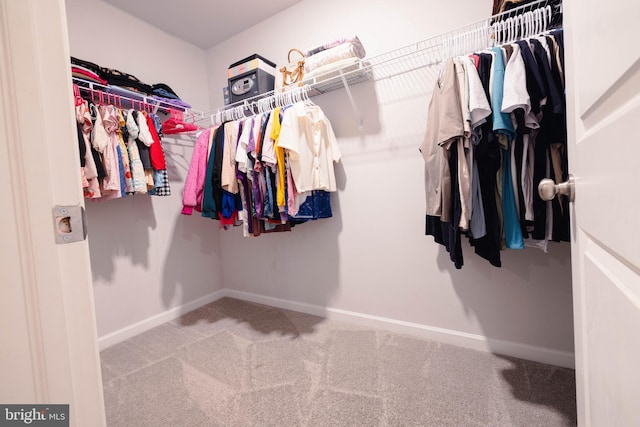 1722 Bradley Dr, Harrisburg, PA 17110 - walk in closet featuring carpet flooring