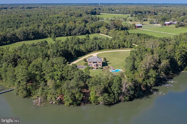 46369 Hattons Rest Ln, Lexington Park, MD 20653 - view of property location featuring a heavily wooded area and a nearby body of water