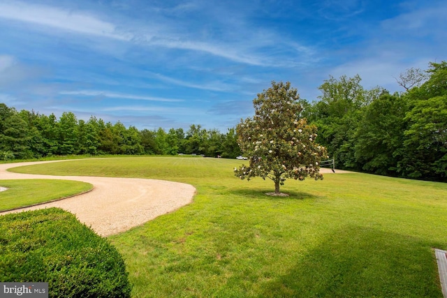 46369 Hattons Rest Ln, Lexington Park, MD 20653 - view of property's community featuring a lawn