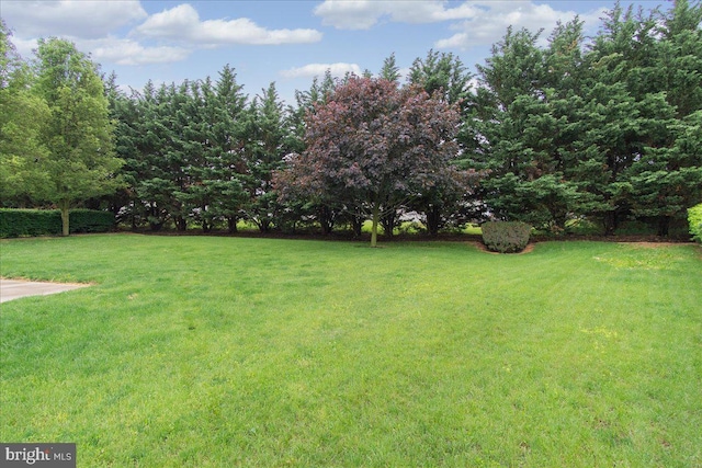 192 Antietam Dr, Waynesboro, PA 17268 - view of green lawn