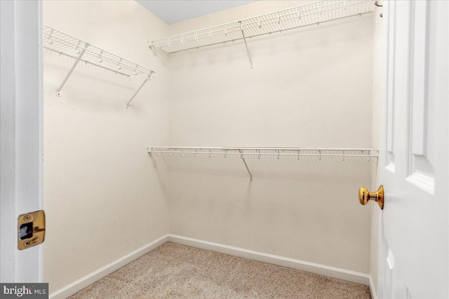 192 Antietam Dr, Waynesboro, PA 17268 - walk in closet featuring carpet