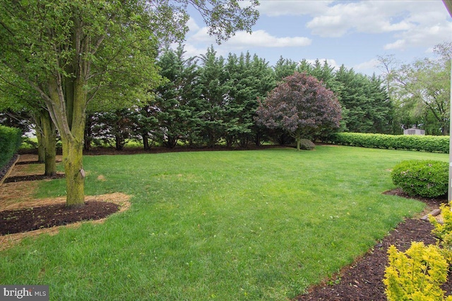 192 Antietam Dr, Waynesboro, PA 17268 - view of green lawn