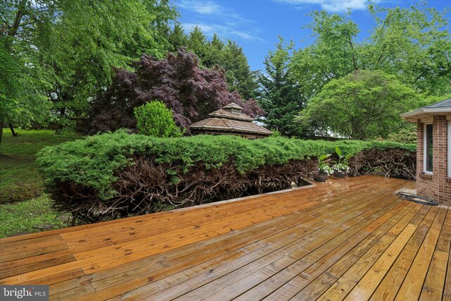 wooden deck featuring view of wooded area