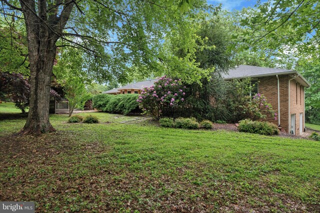 view of green lawn