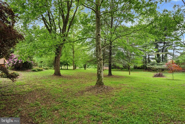 view of grassy yard