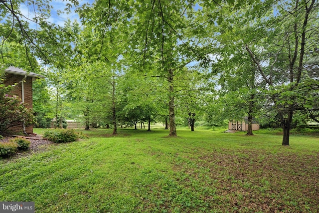 view of grassy yard featuring an outdoor structure