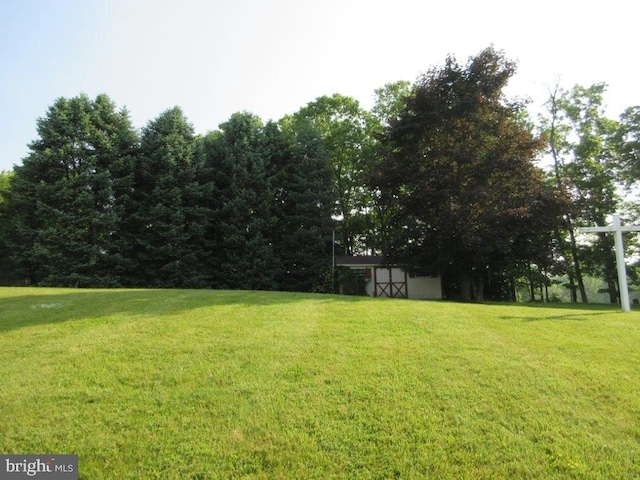 155 Wagon Wheel Ln, Mifflintown, PA 17059 - view of grassy yard