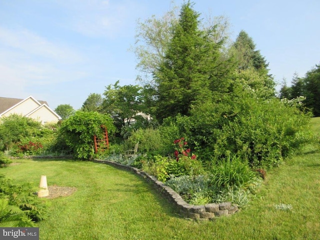 155 Wagon Wheel Ln, Mifflintown, PA 17059 - view of green lawn