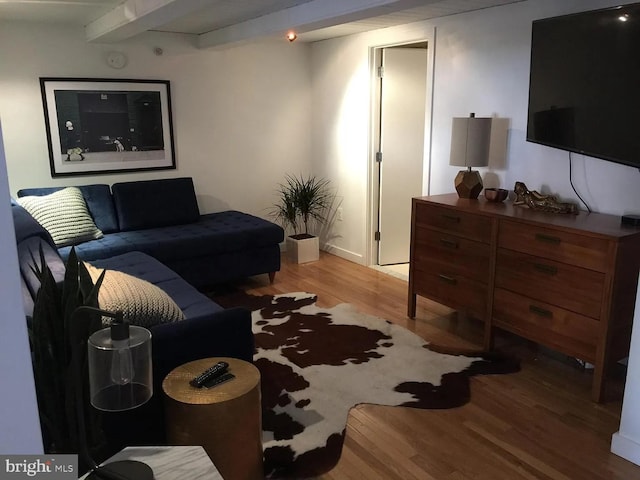 living area featuring wood finished floors