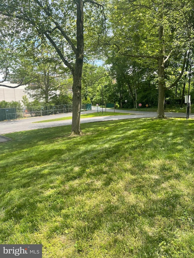 view of green lawn