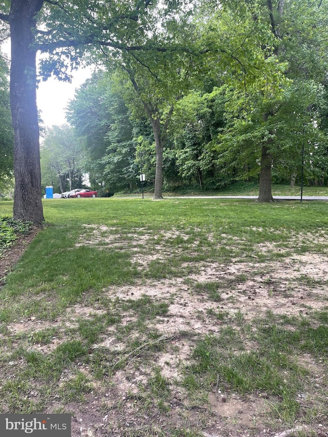 view of grassy yard