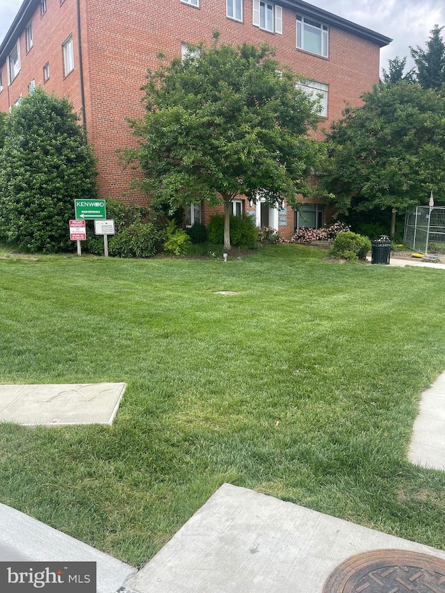 view of green lawn