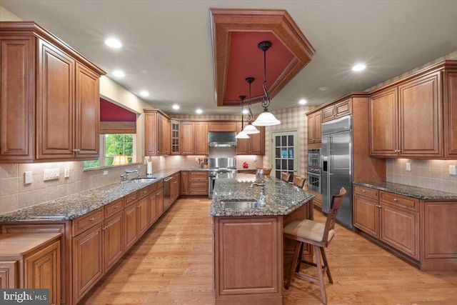 217 Rising Meadow Way E, Stroudsburg, PA 18302 - kitchen with under cabinet range hood, high quality appliances, brown cabinetry, a center island, and light wood-style flooring