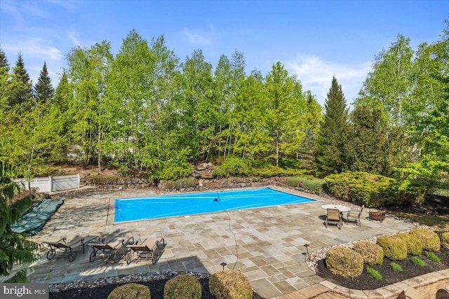 217 Rising Meadow Way E, Stroudsburg, PA 18302 - swimming pool featuring a patio area