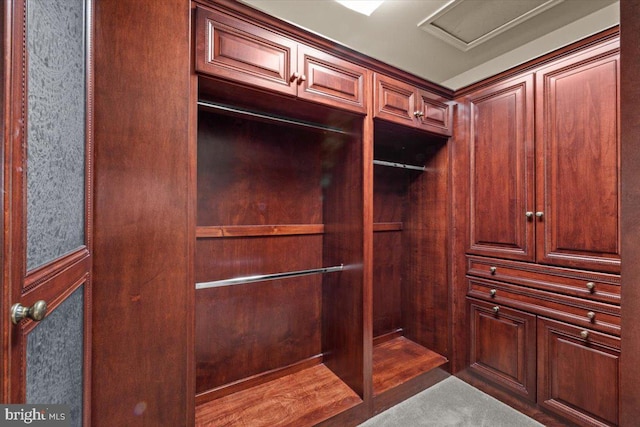 217 Rising Meadow Way E, Stroudsburg, PA 18302 - spacious closet with attic access