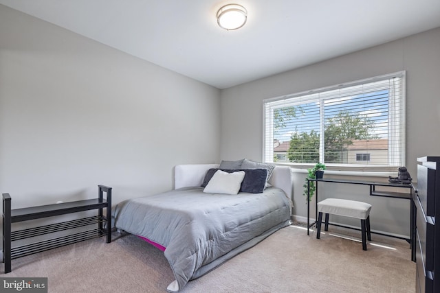 370 Juniper Ct, Herndon, VA 20170 - bedroom featuring carpet flooring and baseboards