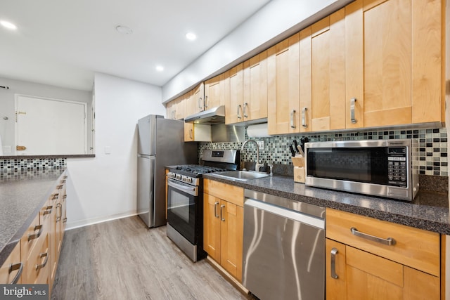 kitchen featuring stainless steel appliances, under cabinet range hood, a sink, light wood-style floors, and decorative backsplash