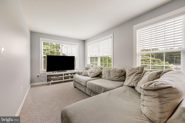 3104 Reach Eagle Ct, Woodbridge, VA 22191 - living room featuring baseboards and carpet flooring