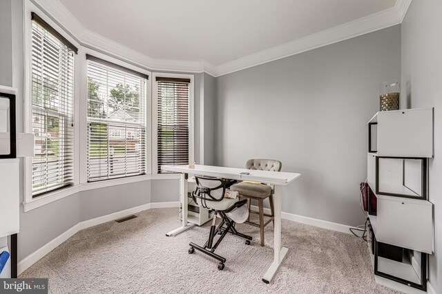 3104 Reach Eagle Ct, Woodbridge, VA 22191 - office with carpet, crown molding, and baseboards
