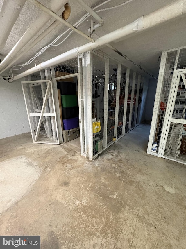 1413 Belle View Blvd Unit C1, Alexandria, VA 22307 - view of below grade area