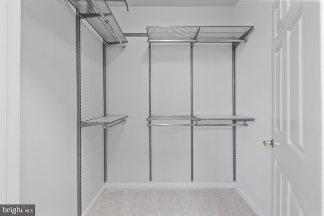 4950 Brenman Park Dr Unit 301, Alexandria, VA 22304 - spacious closet featuring light carpet