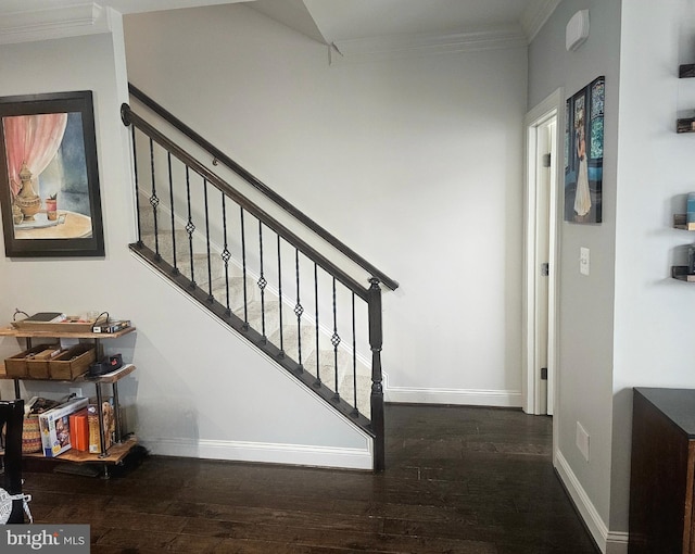 211 Clear Sky Way, Pasadena, MD 21122 - staircase featuring hardwood / wood-style flooring, baseboards, and crown molding