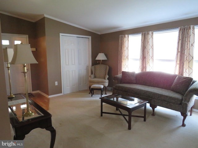 538 Haventree Ct, New Hope, PA 18938 - living area with lofted ceiling, ornamental molding, light carpet, and baseboards