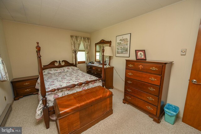 206-208 N 10th St, Oakland, MD 21550 - bedroom with carpet flooring