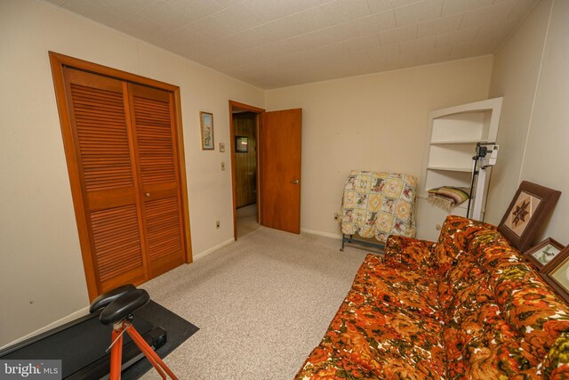 206-208 N 10th St, Oakland, MD 21550 - sitting room with carpet flooring