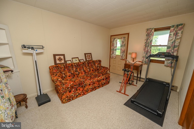 206-208 N 10th St, Oakland, MD 21550 - workout room with carpet floors