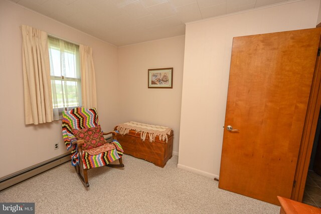 206-208 N 10th St, Oakland, MD 21550 - bedroom with baseboard heating and carpet flooring