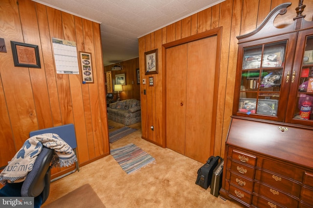 206-208 N 10th St, Oakland, MD 21550 - hall featuring carpet flooring and wood walls