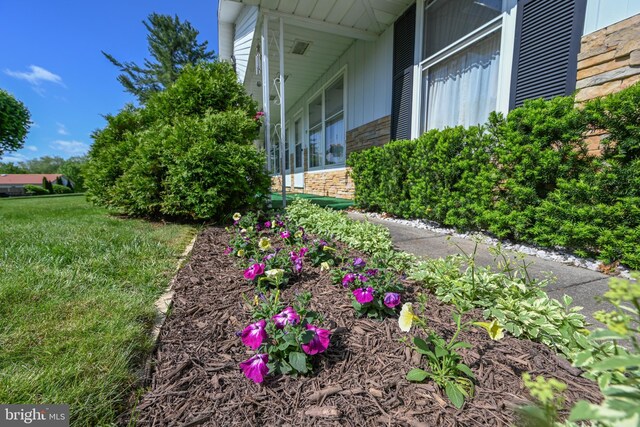 206-208 N 10th St, Oakland, MD 21550 - view of green lawn