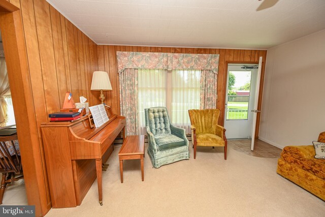 206-208 N 10th St, Oakland, MD 21550 - sitting room with wood walls, carpet, and ceiling fan