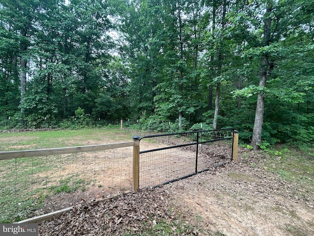 10365 Zachary Taylor Hwy, Unionville, VA 22567 - view of gate