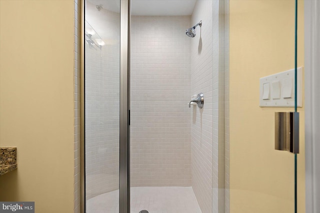 301 14th St Unit 308/309, Ocean City, MD 21842 - full bathroom featuring a stall shower