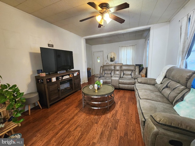 35 W Montrose St, Vineland, NJ 08360 - living area with wood finished floors, ceiling fan, and healthy amount of natural light